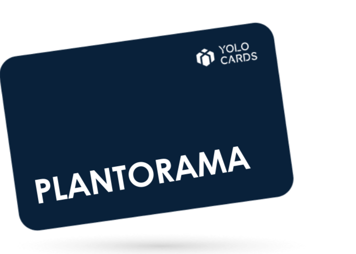 Plantorama Gavekort