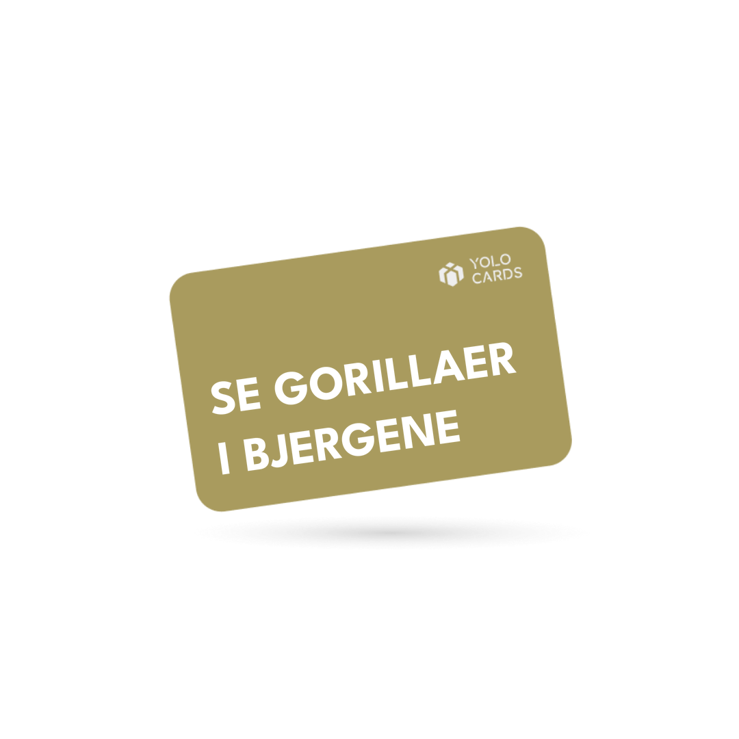 YOLO-gavekort – Se gorillaer i bjergene